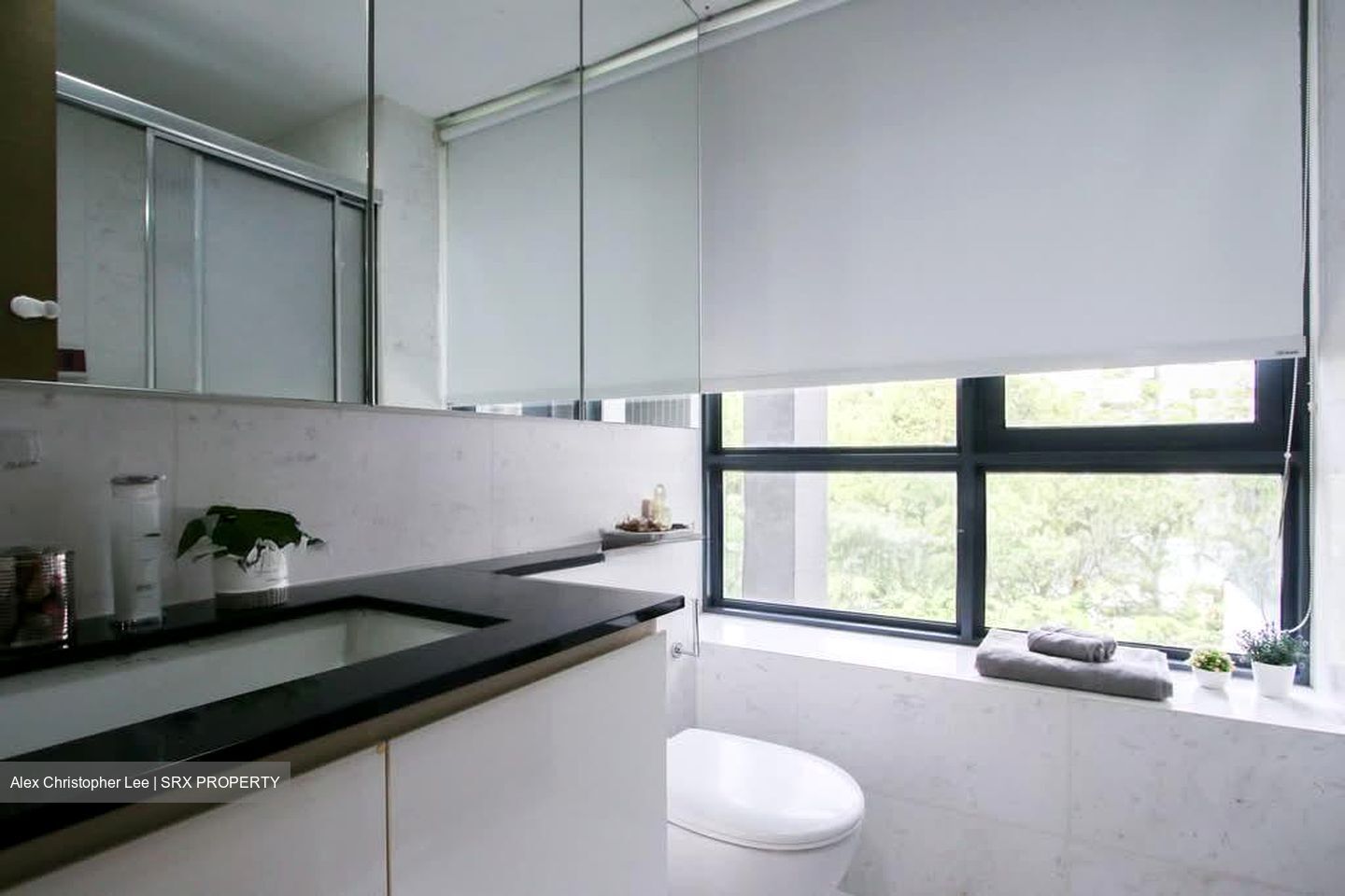 The Trizon (D10), Condominium #541016491